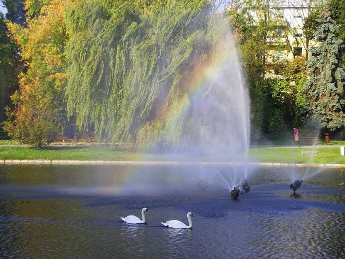كيلتشي Apartamenty Centrum Panoramiczna Mala Dwojka Swan Labedz Promenada Klimatyzacja Lodowa المظهر الخارجي الصورة